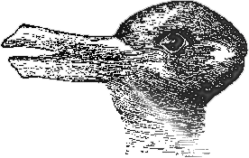 ../Images/rabbitduck.png